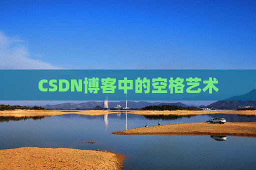 CSDN博客中的空格艺术